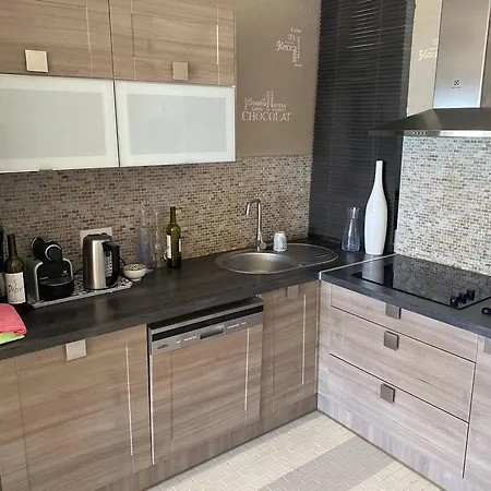 Apartment Magnifique T3 Climatise Avec Parking - Fr-1-833-10