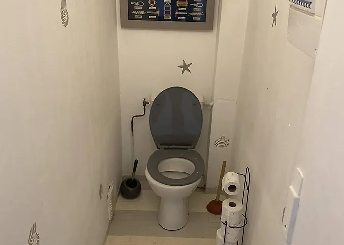 Apartamento Magnifique T3 Climatise Avec Parking - Fr-1-833-10