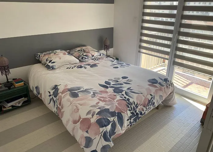 Magnifique T3 Climatise Avec Parking - Fr-1-833-10 Apartamento Canet-en-Roussillon