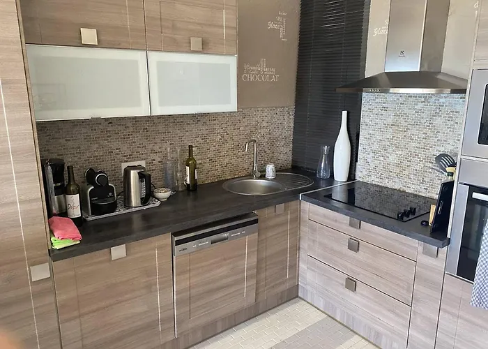 Apartamento Magnifique T3 Climatise Avec Parking - Fr-1-833-10