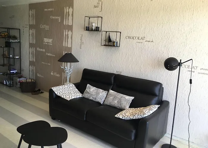 Magnifique T3 Climatise Avec Parking - Fr-1-833-10